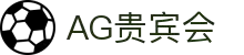 AG贵宾会·(旗舰)股份有限公司